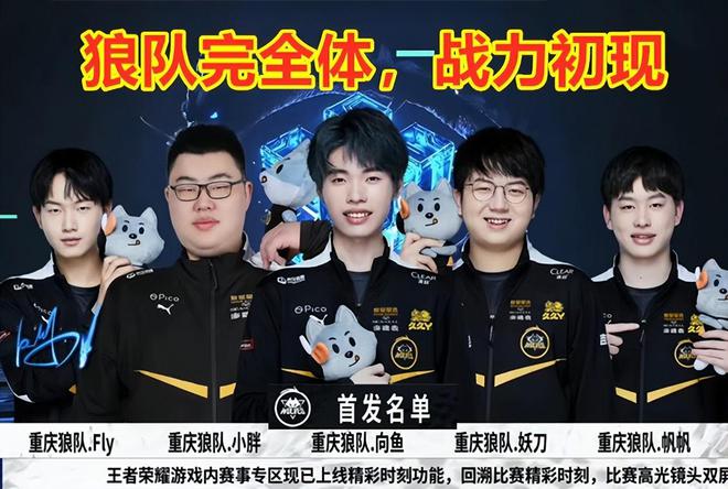 维尼修斯手