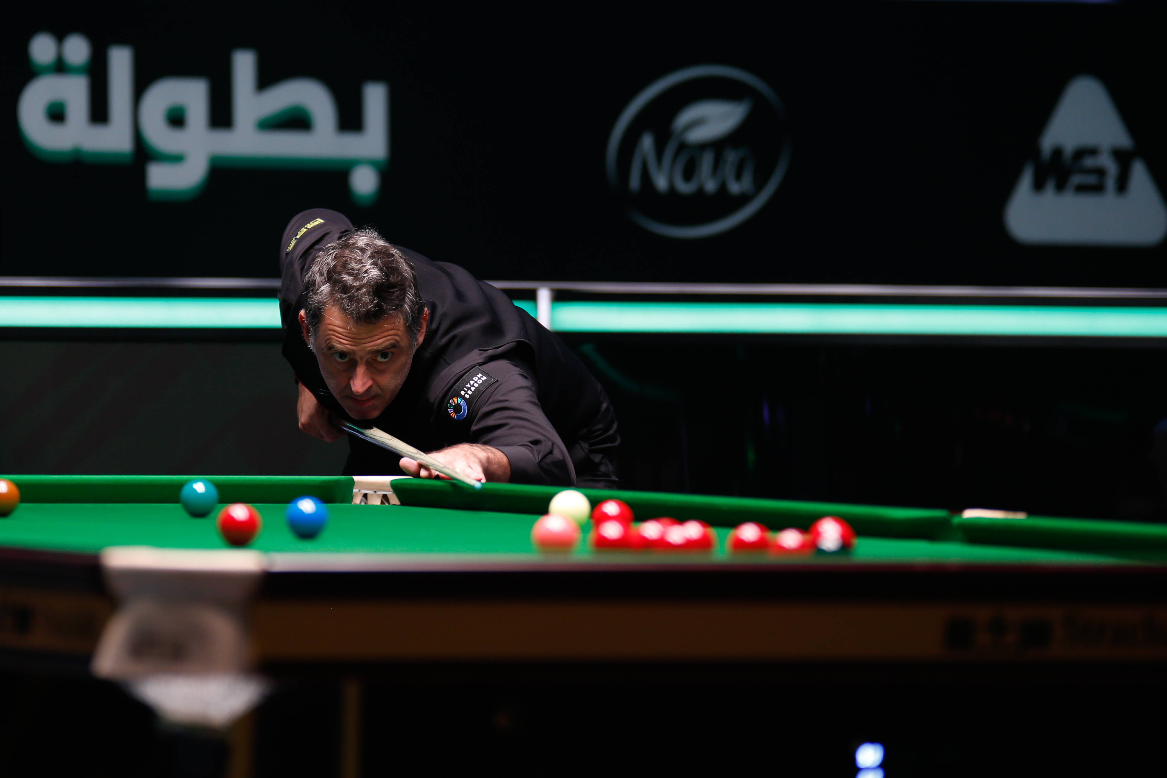 己的价值 己的价值