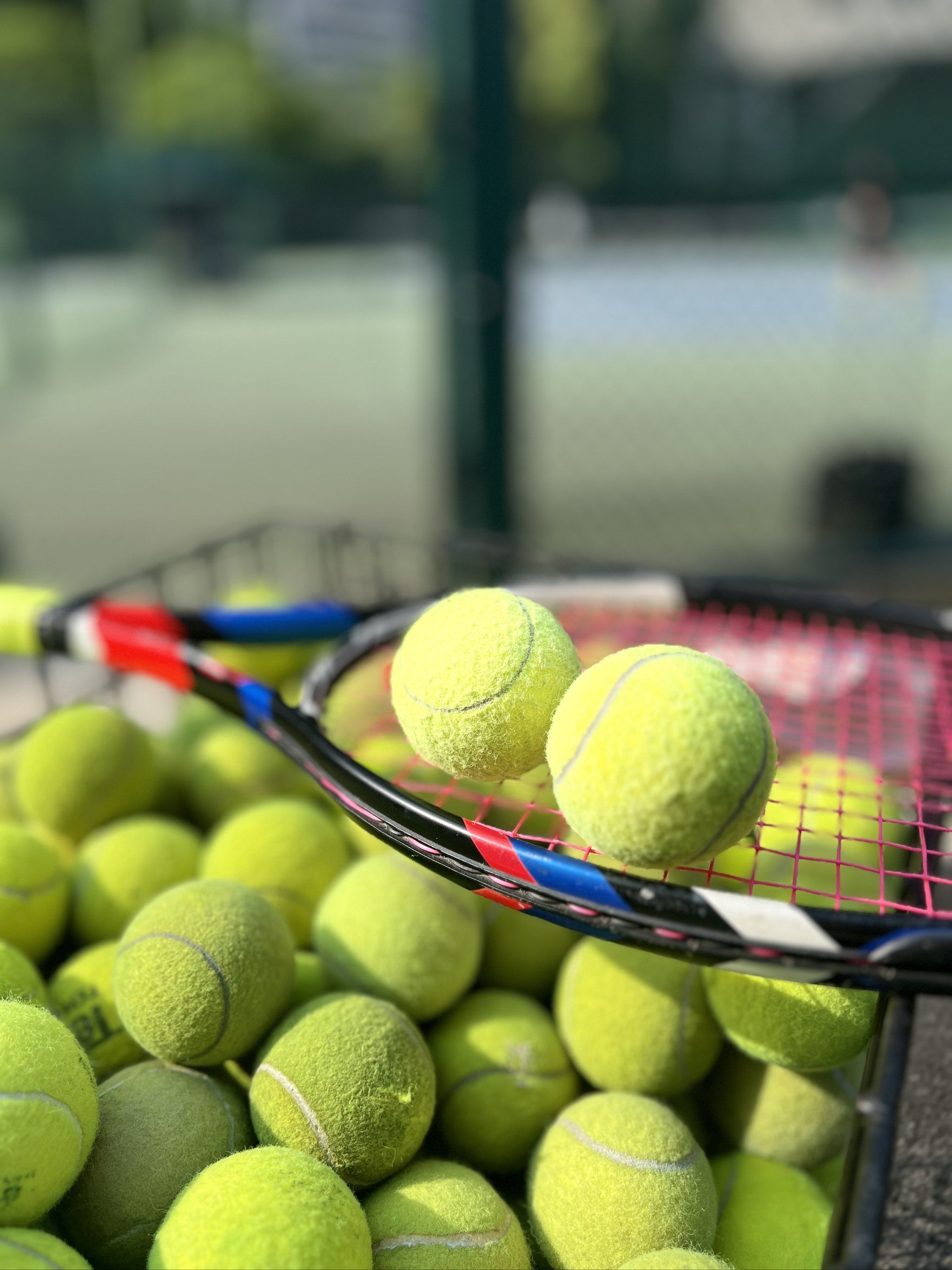 热情和拼搏 热情和拼搏